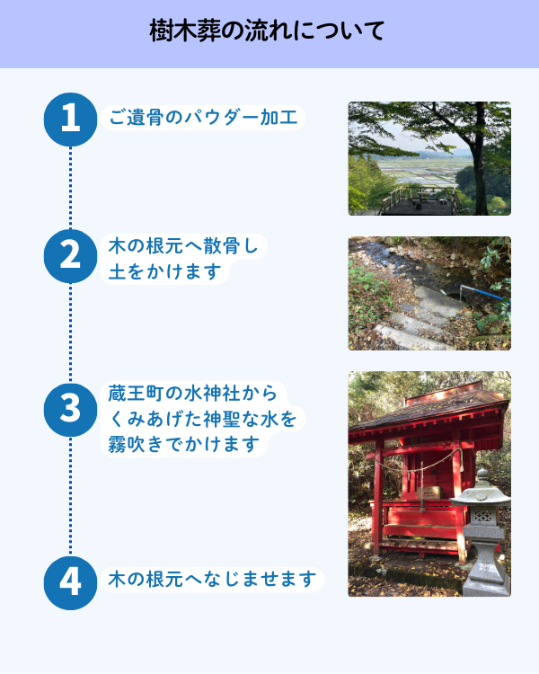 樹木葬の流れについて