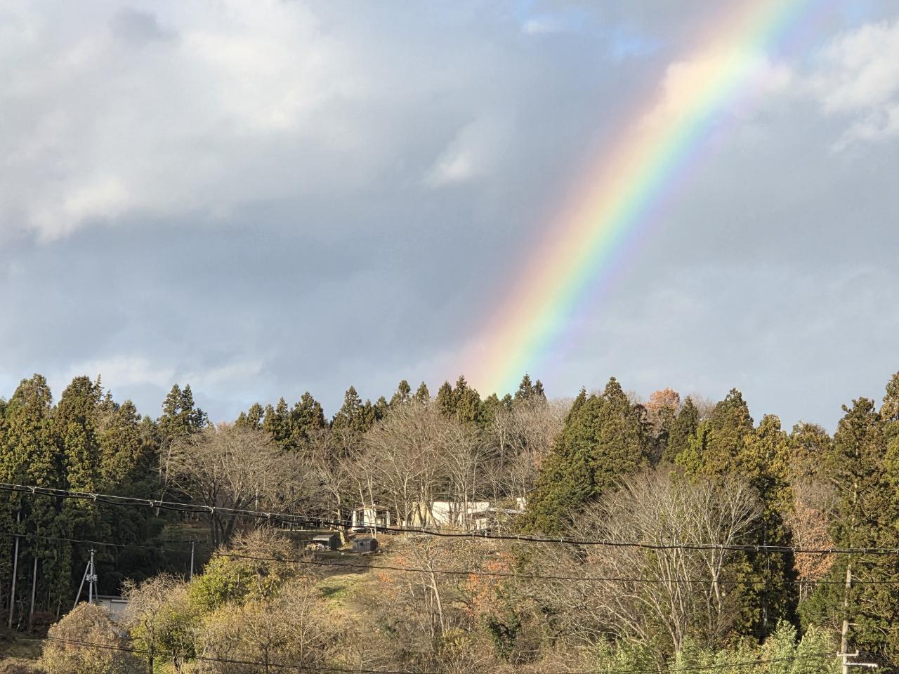 画像の説明 画像の説明